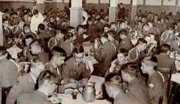 They want us to eat this stuff?